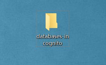 databases-incognito文件夹