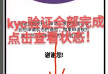 KYC宽限期不足10天!Pi KYC最新图文教程分享!_何昌全博客