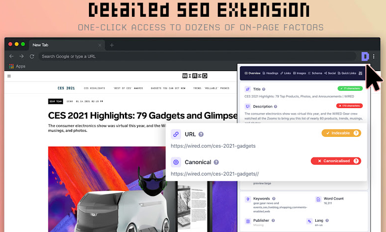 Detailed SEO Extension