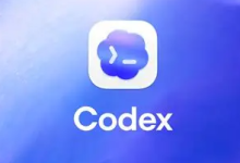 盘点Codex最强的6个Skill：资深程序员必备的AI插件_何昌全博客